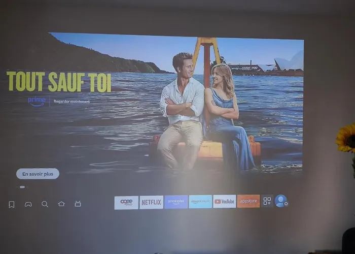 T2 Rooftop Ciné Coty Appartement