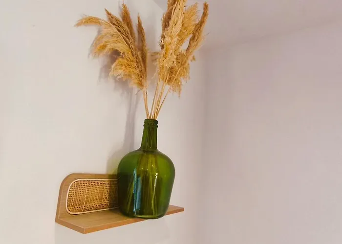 T2 Rooftop Ciné Coty Appartement